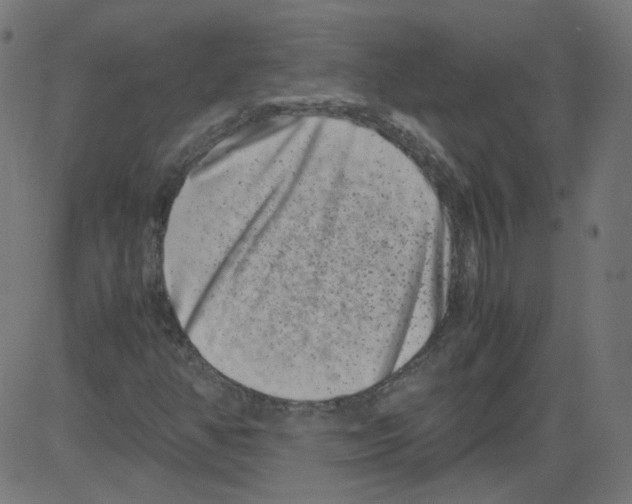 X0000081431350200702092149