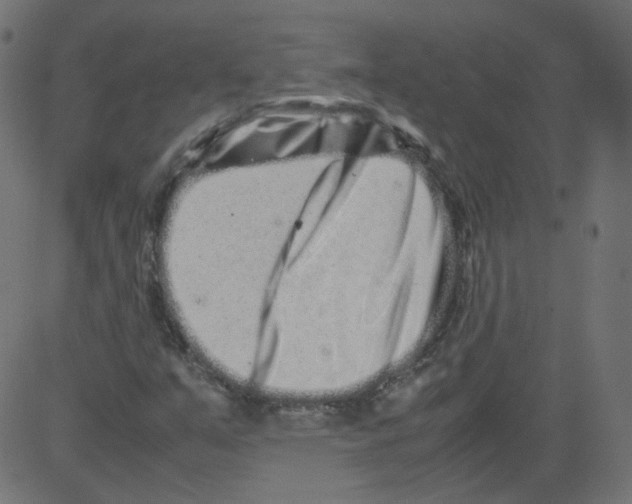 X0000081431351200702092149