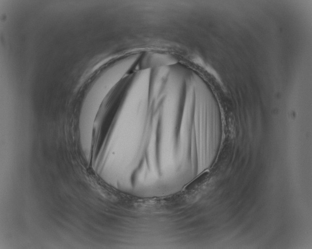 X0000081431352200702092149