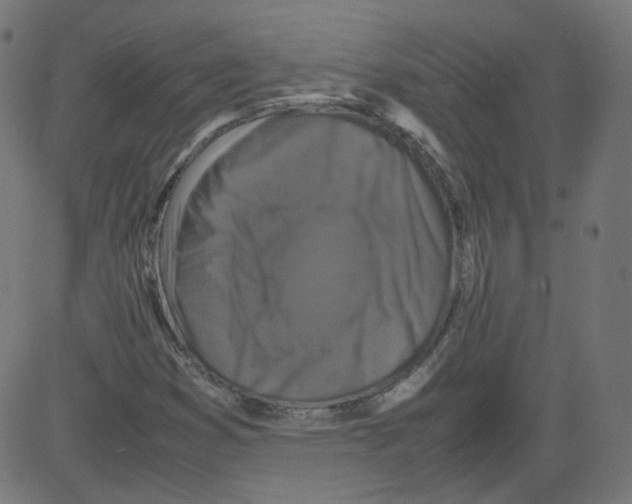 X0000081431353200702092149