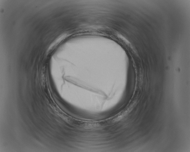 X0000081431354200702092149