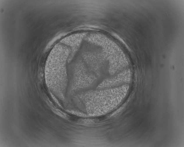 X0000081431355200702092149