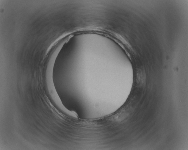 X0000081431356200702092149