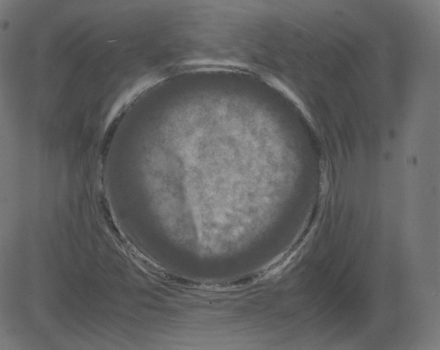 X0000081431357200702092149