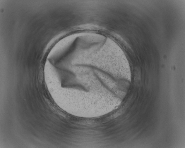 X0000081431358200702092149