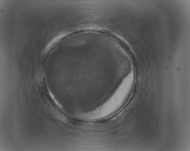 X0000081431359200702092149