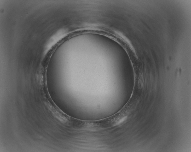 X0000081431360200702092149