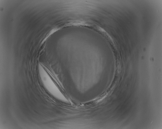 X0000081431361200702092149