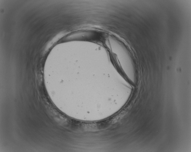 X0000081431363200702092149