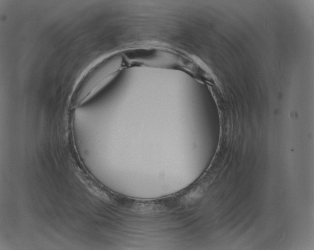 X0000081431364200702092149