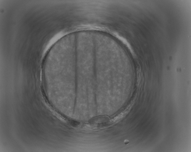 X0000081431365200702092149