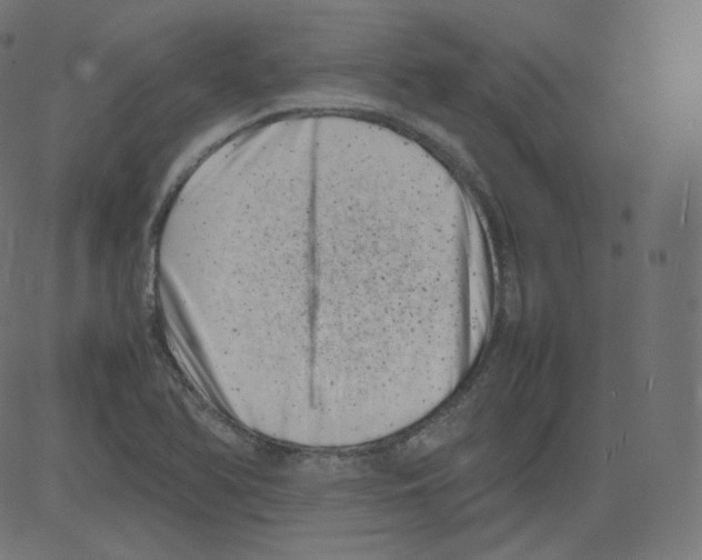 X0000081431366200702092149