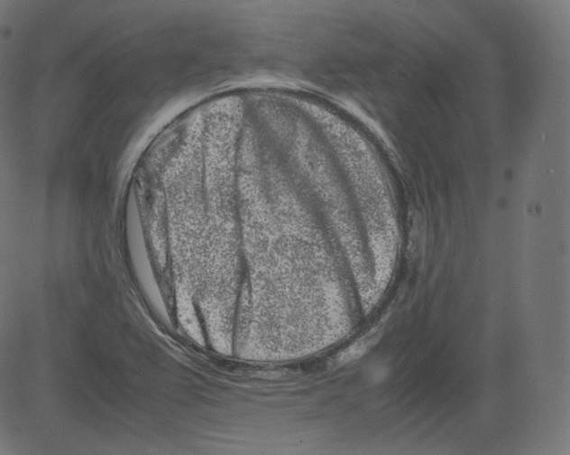 X0000081431367200702092149