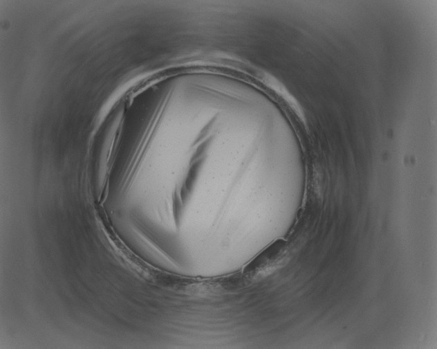 X0000081431368200702092149