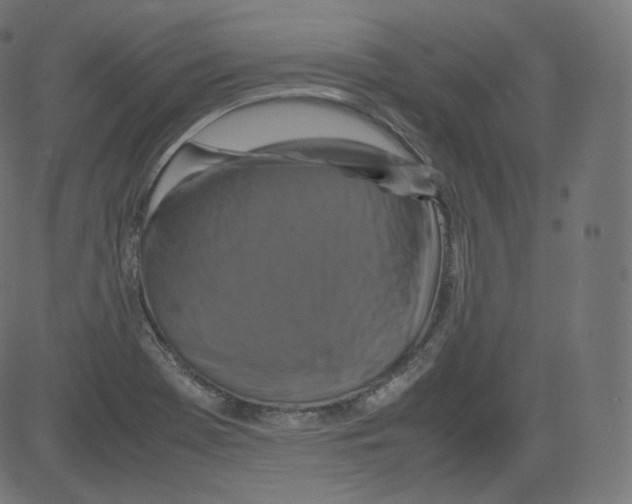 X0000081431369200702092149