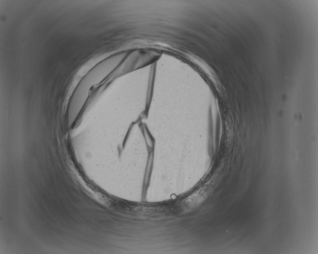 X0000081431371200702092149