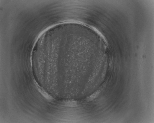 X0000081431372200702092149