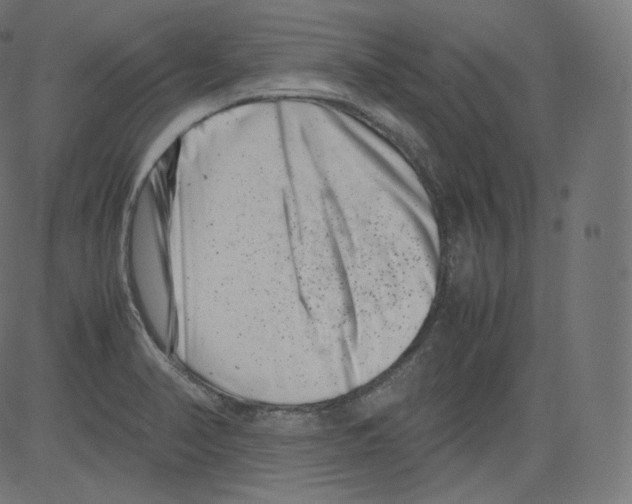 X0000081431374200702092148