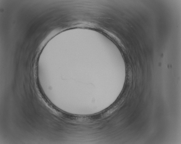 X0000081431375200702092148