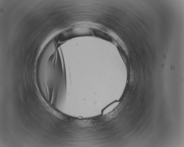 X0000081431376200702092148