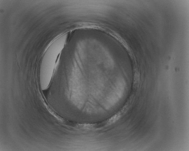 X0000081431377200702092148