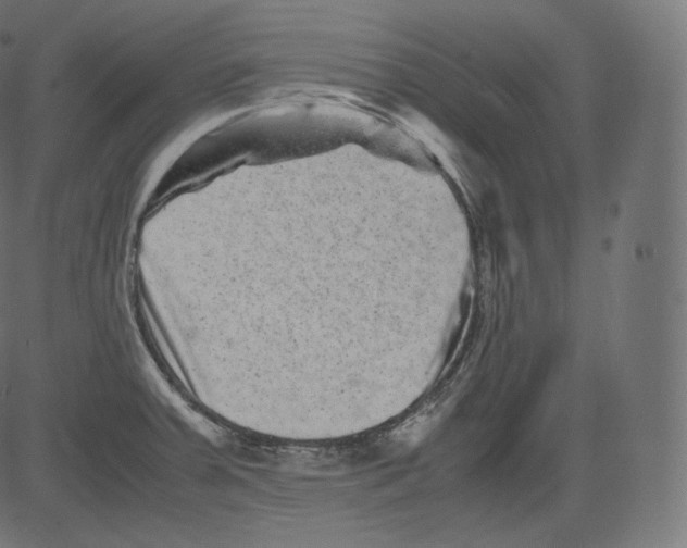 X0000081431379200702092148