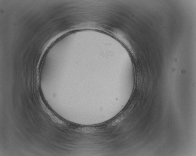 X0000081431380200702092148