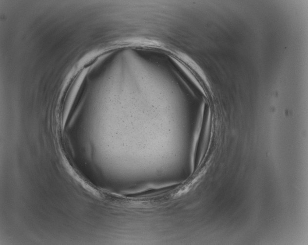 X0000081431381200702092148