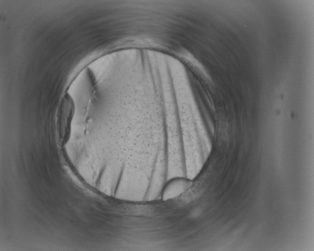 X0000081431382200702092148