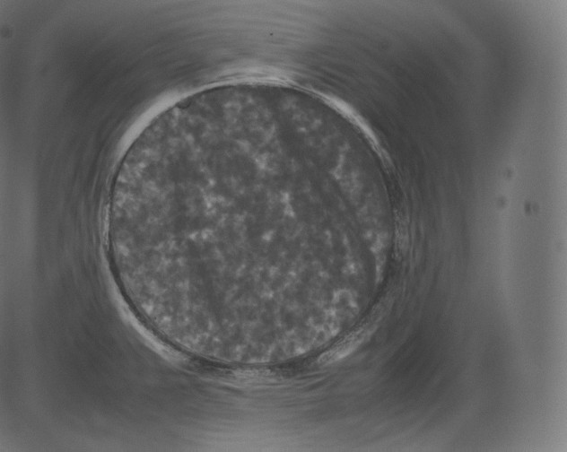 X0000081431383200702092148