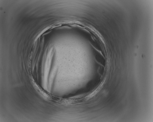 X0000081431385200702092148