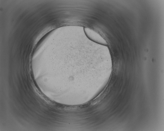 X0000081431386200702092148