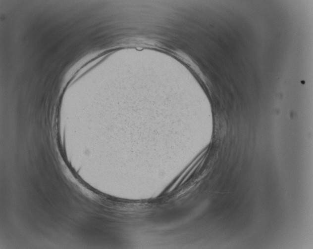 X0000081431387200702092148