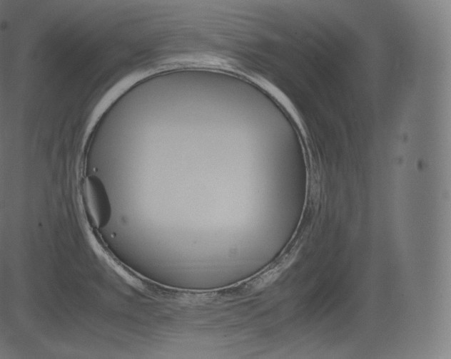 X0000081431389200702092148