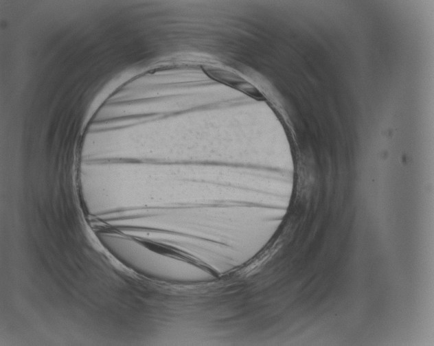 X0000081431390200702092148