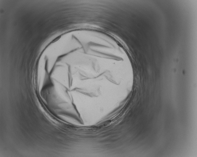 X0000081431391200702092148