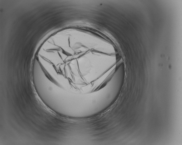 X0000081431392200702092148