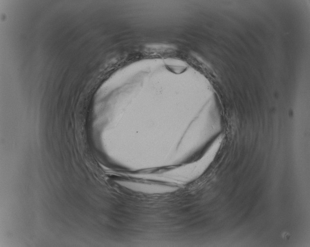 X0000081431393200702092147