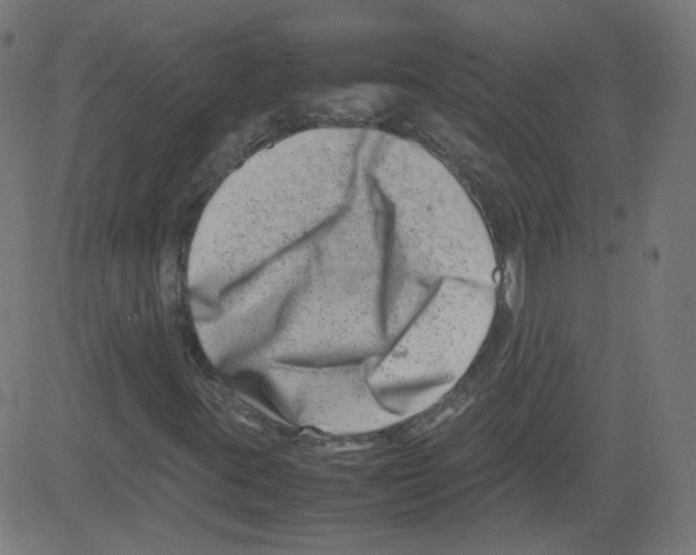 X0000081431395200702092147