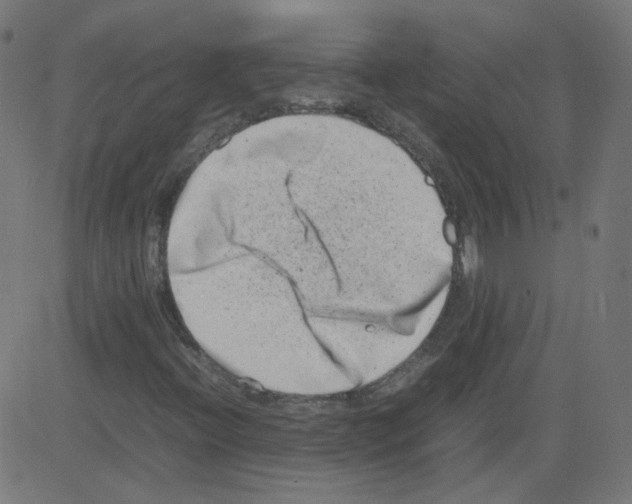 X0000081431396200702092147