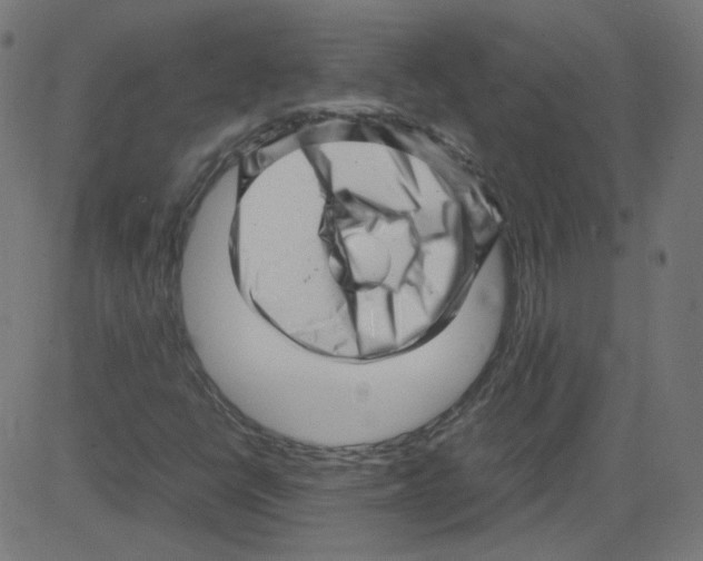 X0000081431398200702092147