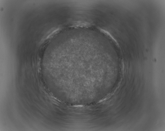 X0000081431399200702092147