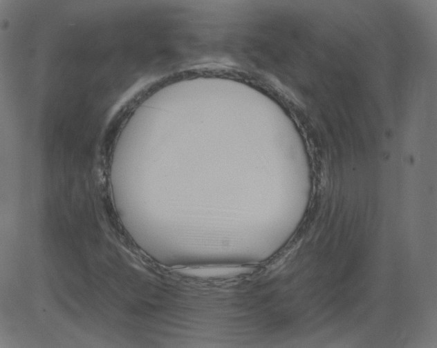 X0000081431400200702092148