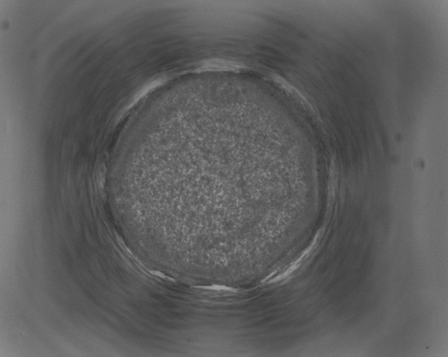 X0000081431401200702092148