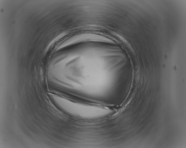 X0000081431402200702092148