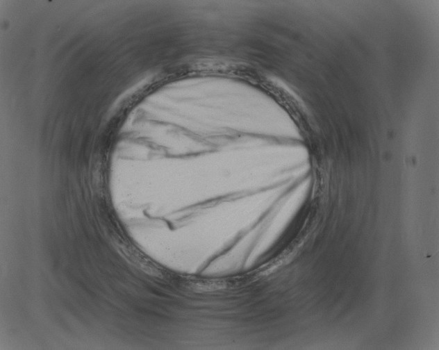 X0000081431403200702092148