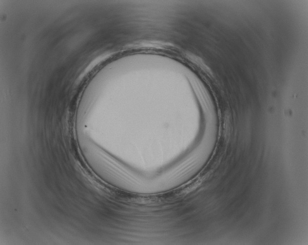 X0000081431404200702092148