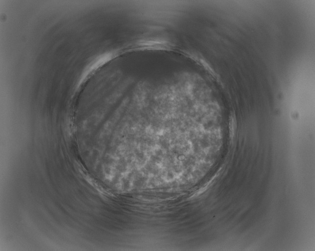 X0000081431405200702092148