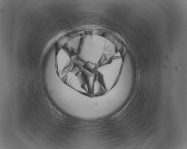 X0000081431406200702092148