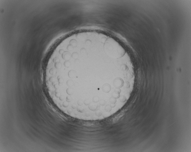 X0000081431408200702092148